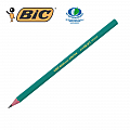 creion-grafit-flexibil-bic-evolution-650