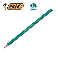 creion-grafit-flexibil-bic-evolution-650