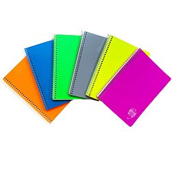 caiet-cu-spira-din-plastic-a4-daco-atinge-excelenta-144-file-matematica-coperta-de-plastic