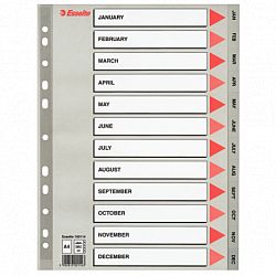 separator-a4-esselte-din-plastic-11-perforatii-ian-dec