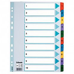 separator-a4-esselte-mylar-din-carton-11-perforatii-1-10