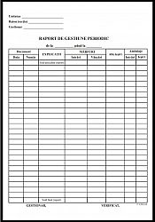 raport-gestiune-periodic-a4-100file-carnet-tipar-fata-offset-necopertat