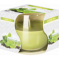 6-x-lumanare-parfumanata-in-pahar-simplu-green-tea